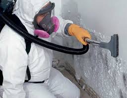 Best Real Estate Mold Inspection  in Kettering, OH